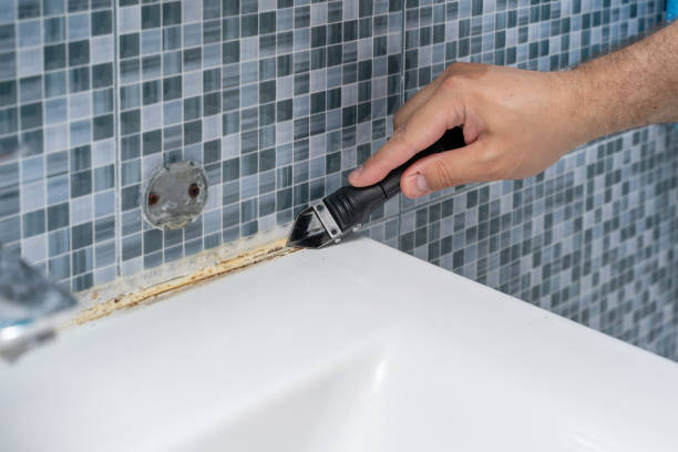 Best White Mold Remediation in Chesapeake Beach, MD